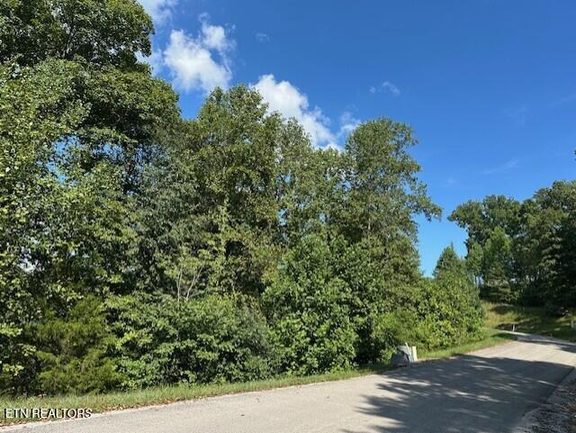 220 - 221 Suncrest Cove, Lafollette, TN - Norris Lake Real Estate - Image# 22