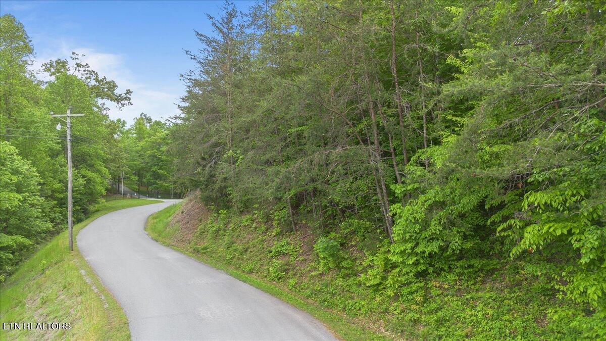 Norris Lake Real Estate - Image# 24