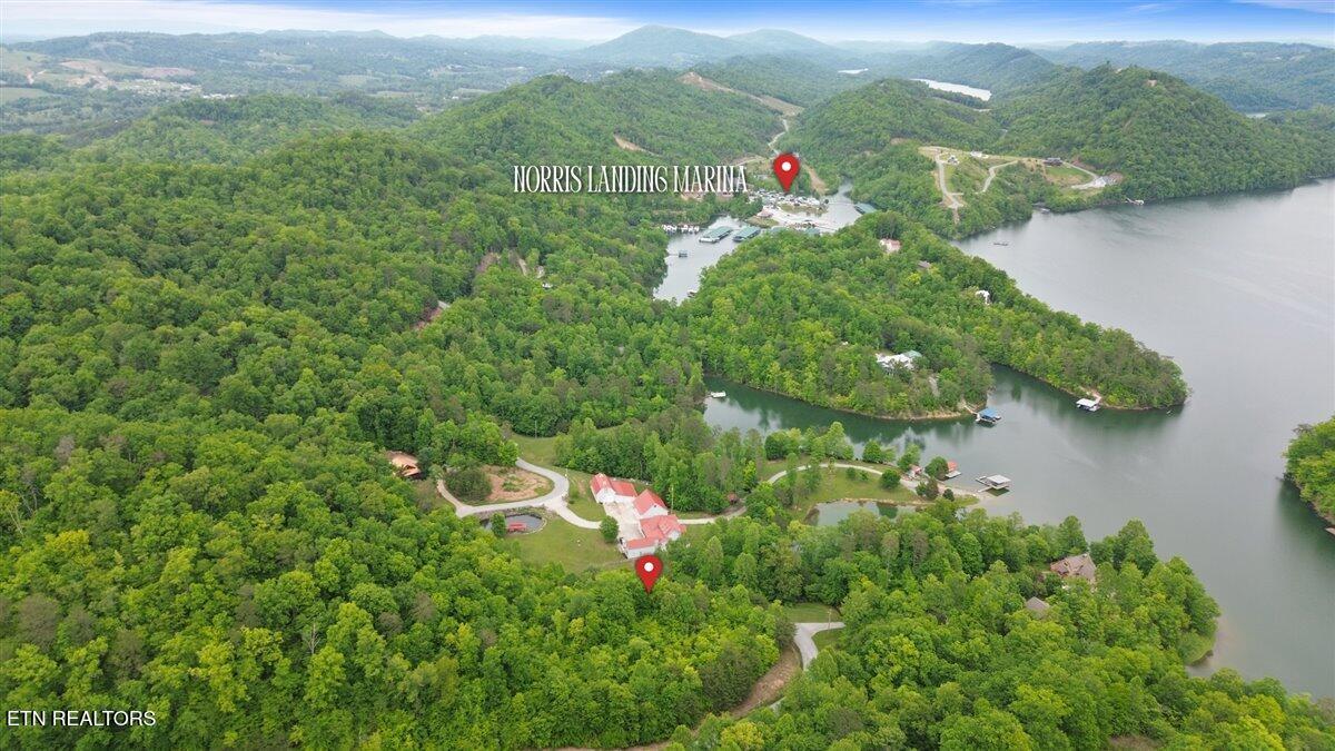 Norris Lake Real Estate - Image# 6