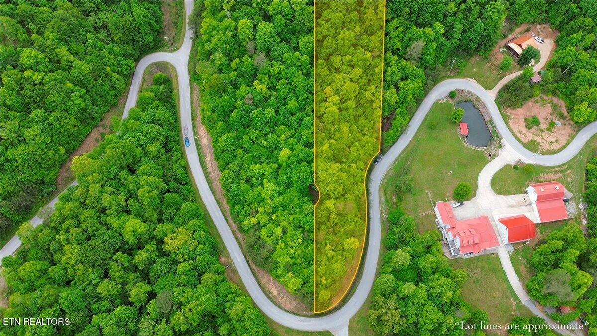 Norris Lake Real Estate - Image# 8