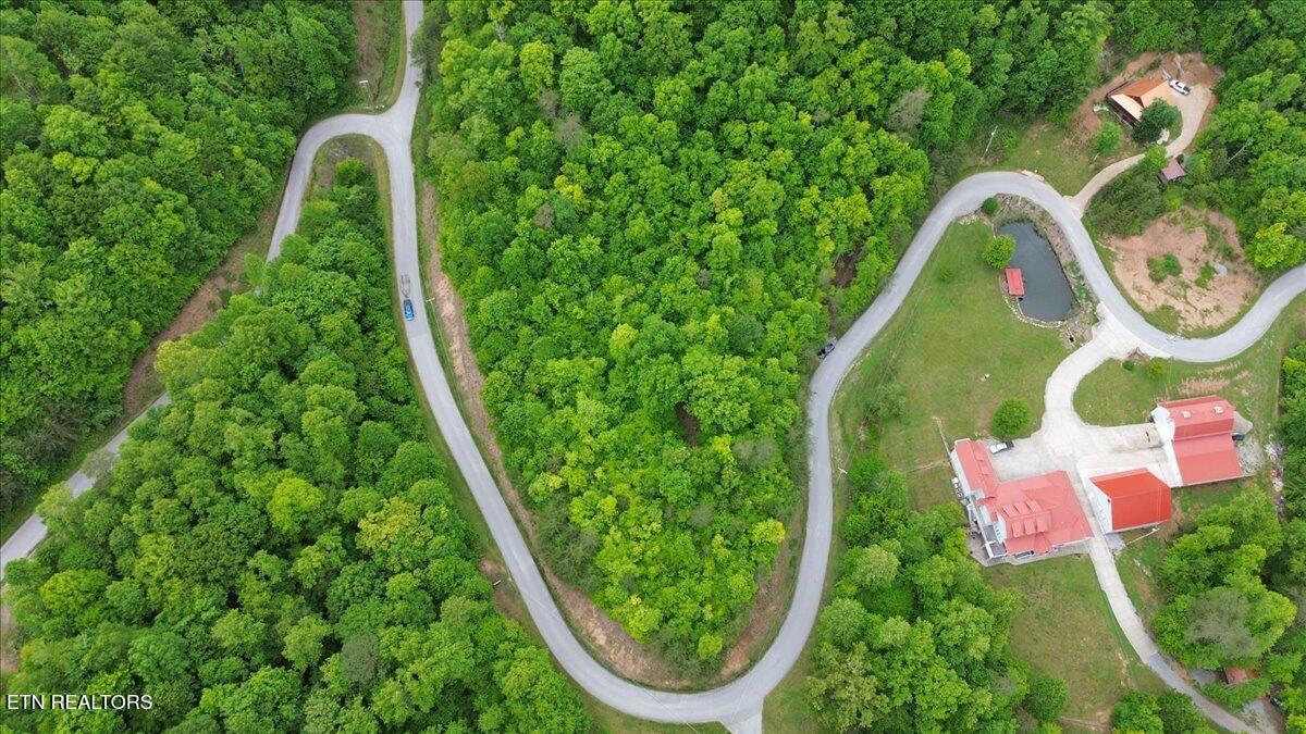 Norris Lake Real Estate - Image# 12