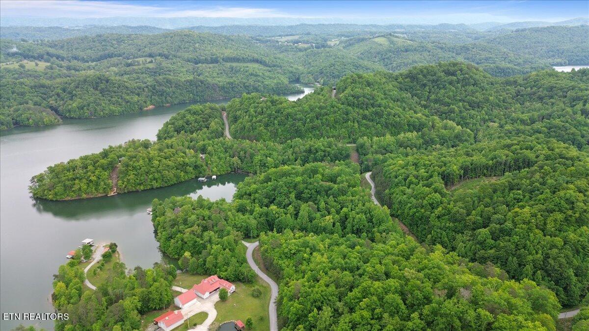 Norris Lake Real Estate - Image# 22