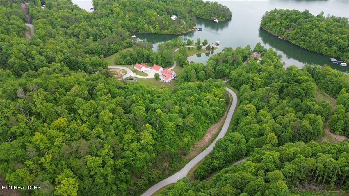 Norris Lake Real Estate - Image# 16