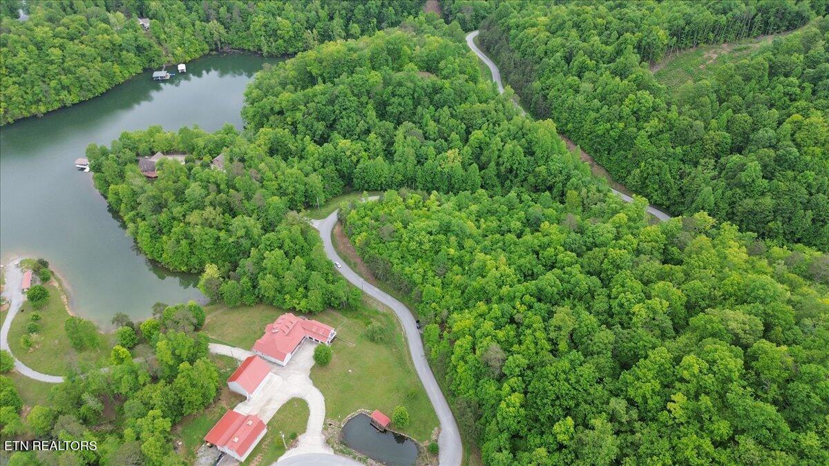 Norris Lake Real Estate - Image# 26