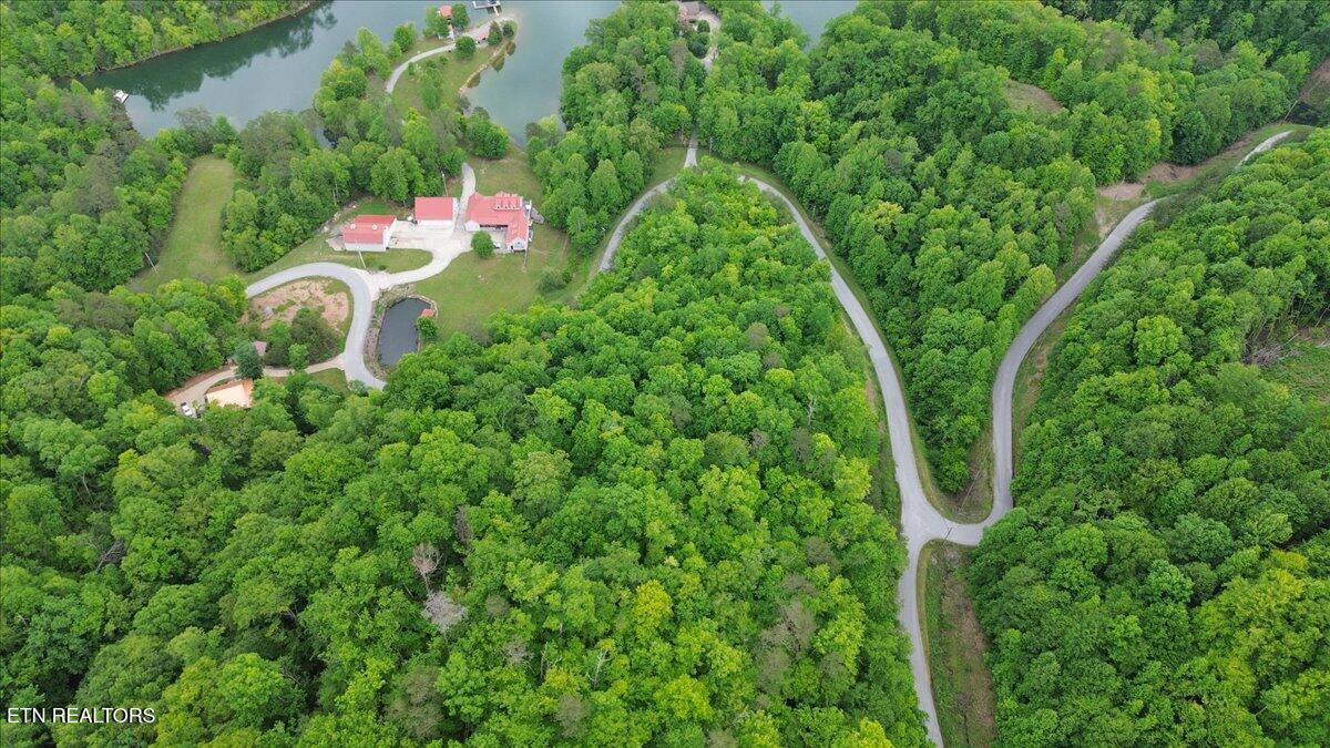 Norris Lake Real Estate - Image# 28