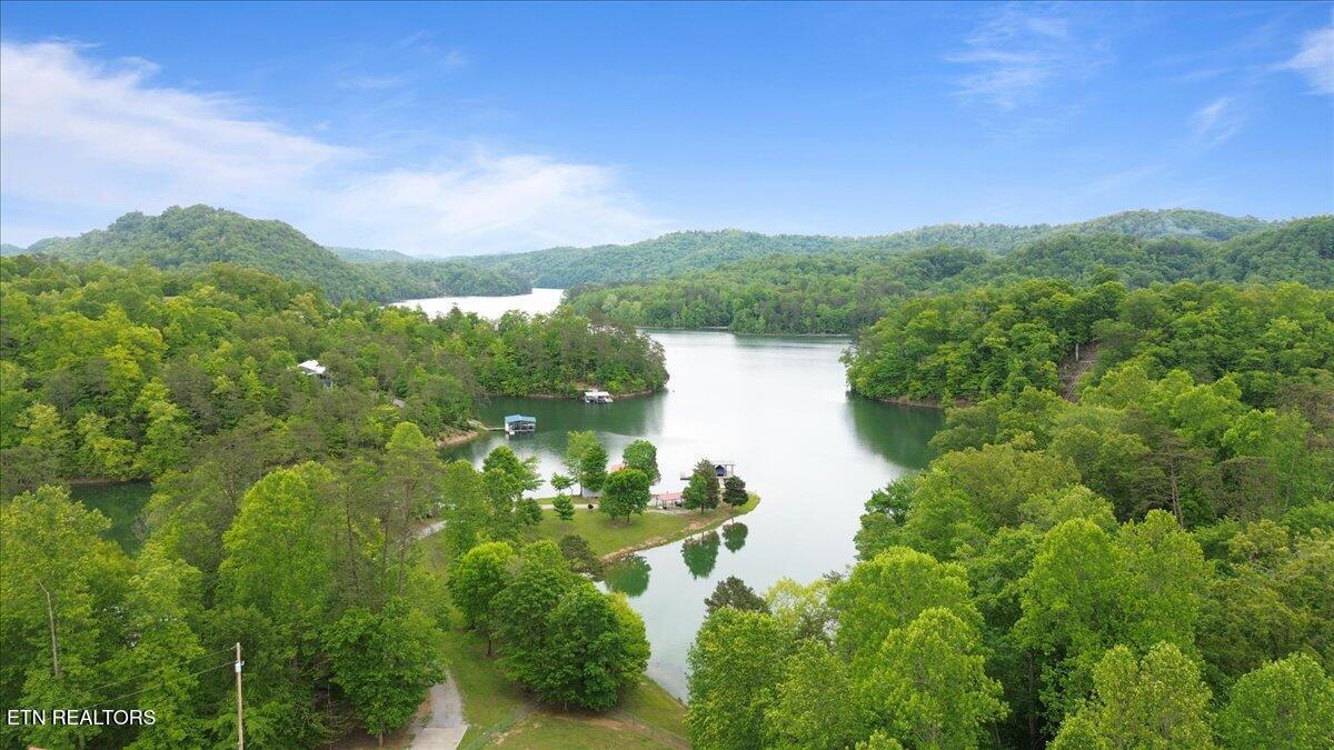 Norris Lake Real Estate - Image# 30