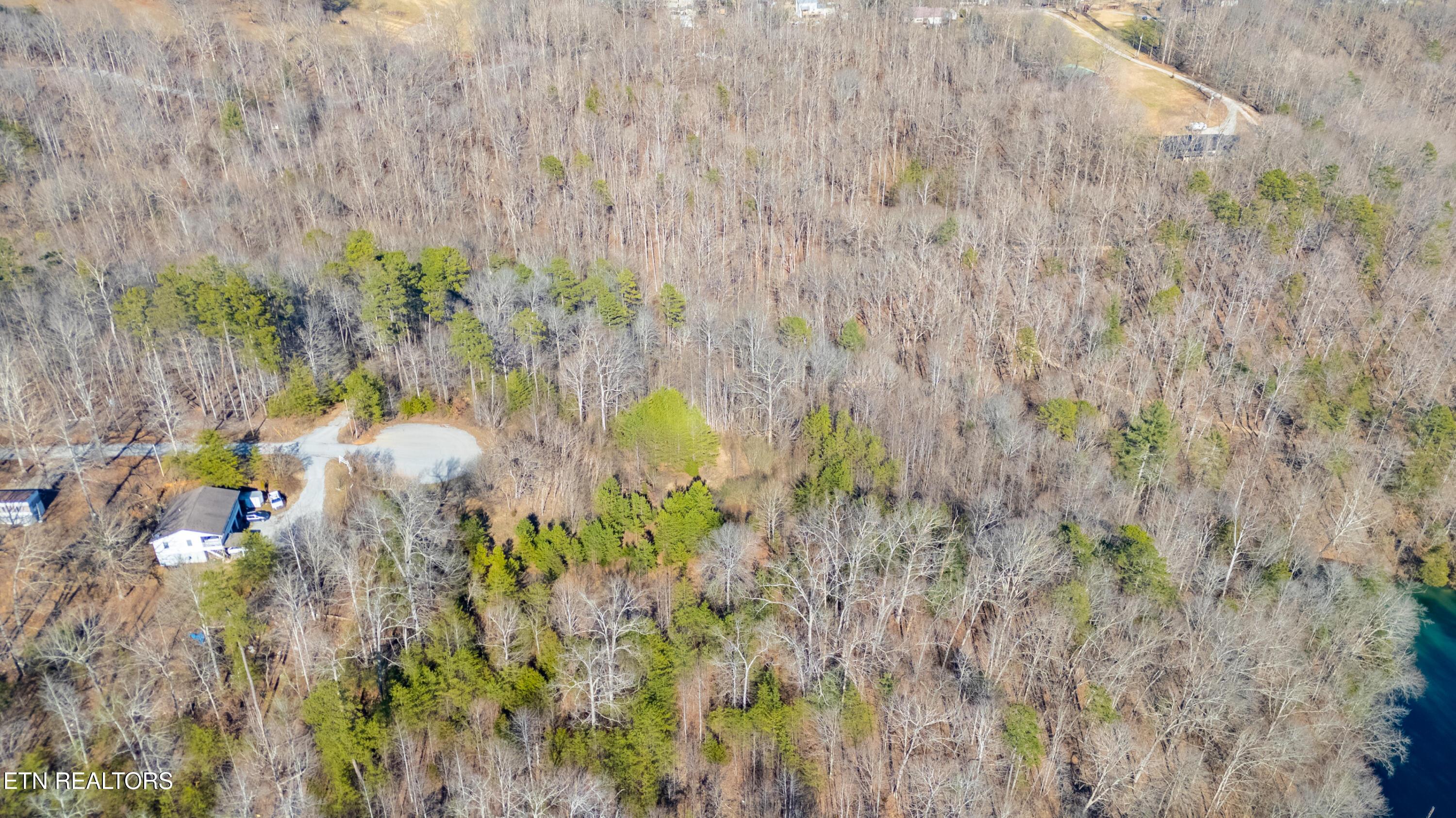Lot 2 Chapman Lane, Jacksboro, TN - Norris Lake Real Estate - Image# 8