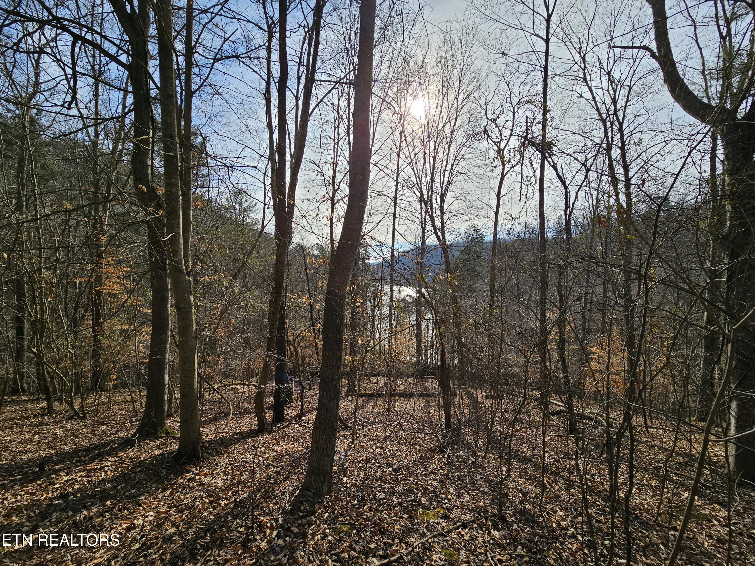 Lot 2 Chapman Lane, Jacksboro, TN - Norris Lake Real Estate - Image# 2