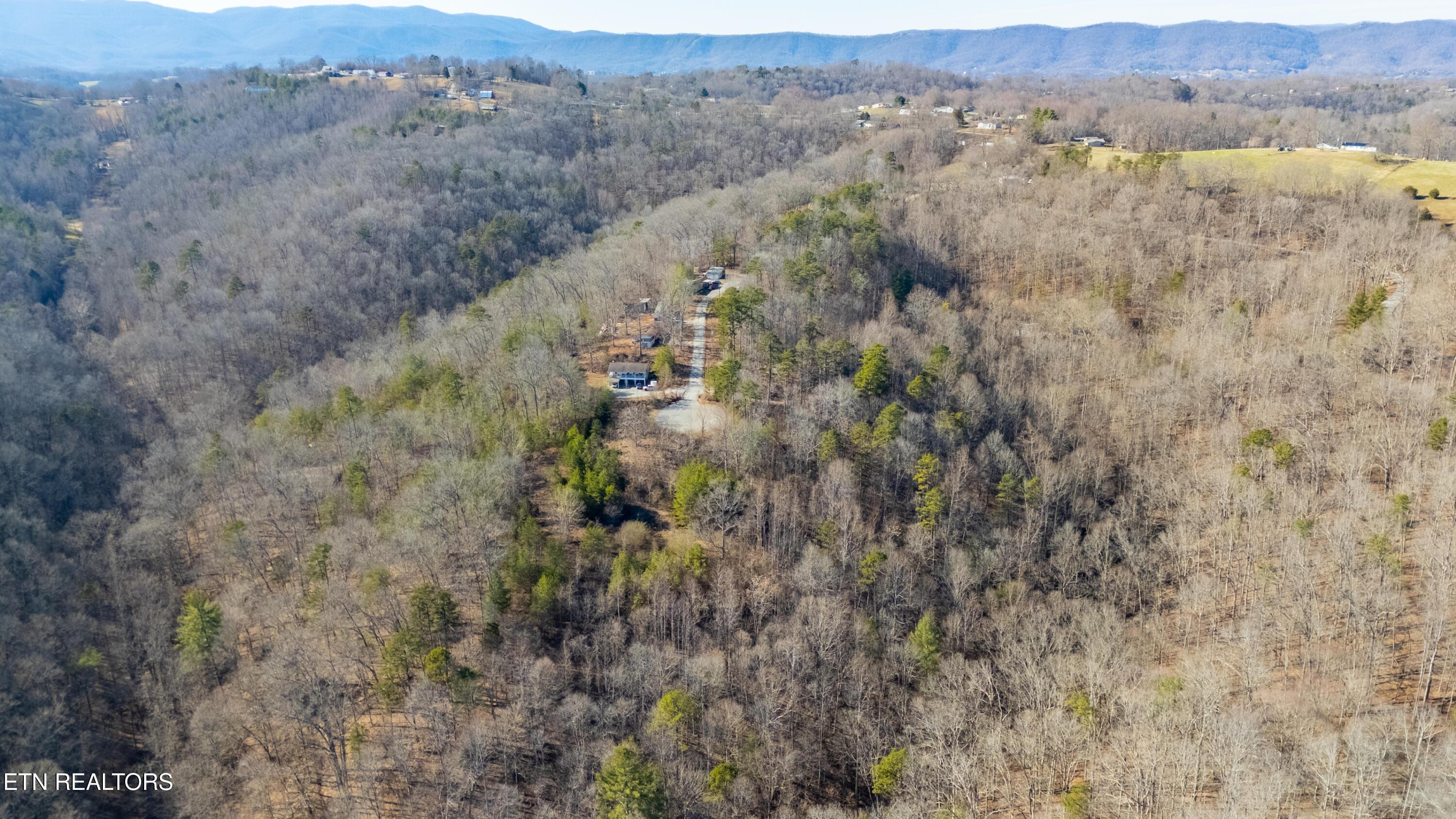 Lot 3 Chapman Lane, Jacksboro, TN - Norris Lake Real Estate - Image# 11