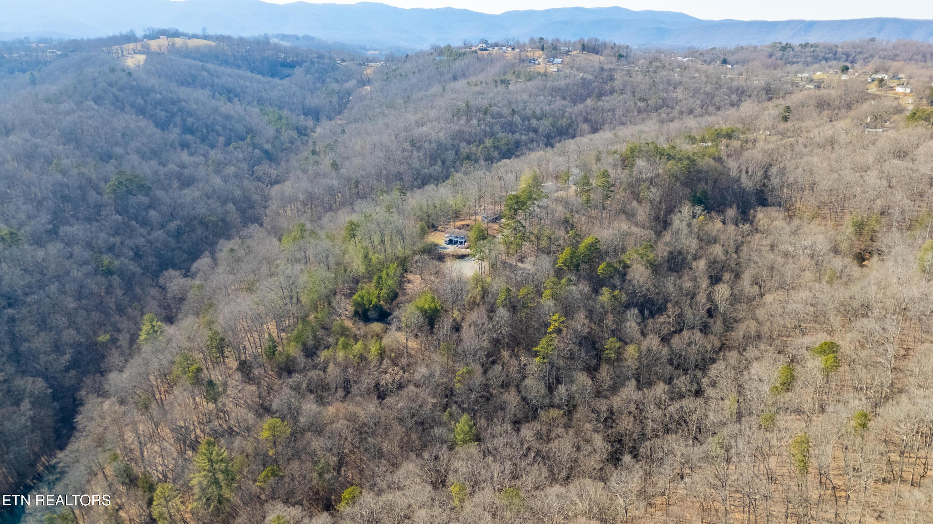 Lot 3 Chapman Lane, Jacksboro, TN - Norris Lake Real Estate - Image# 12