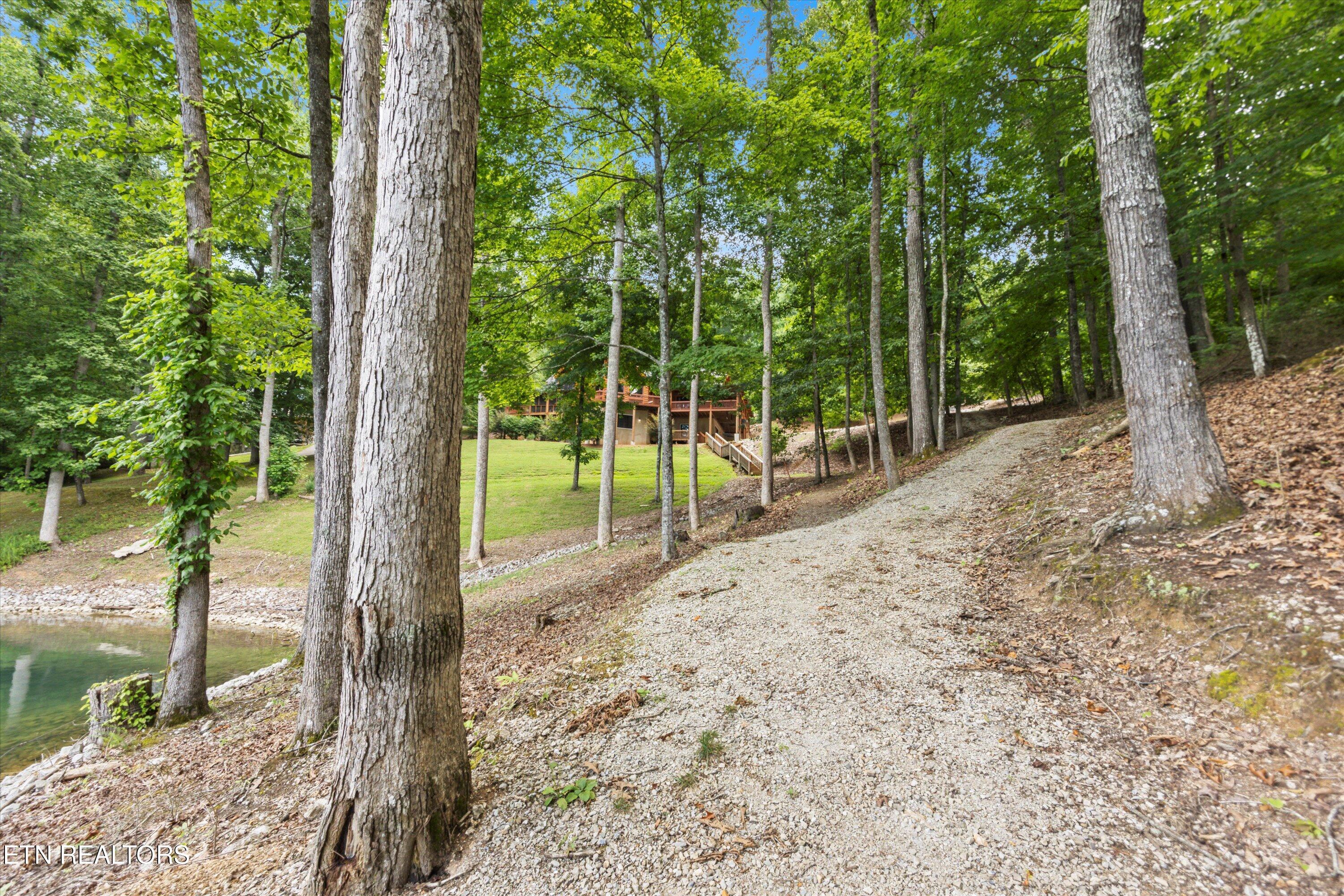 Norris Lake Real Estate - Image# 62