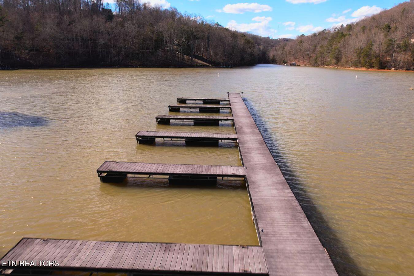 Lot 147 Saddle Ridge Drive, Speedwell, TN - Norris Lake Real Estate - Image# 33