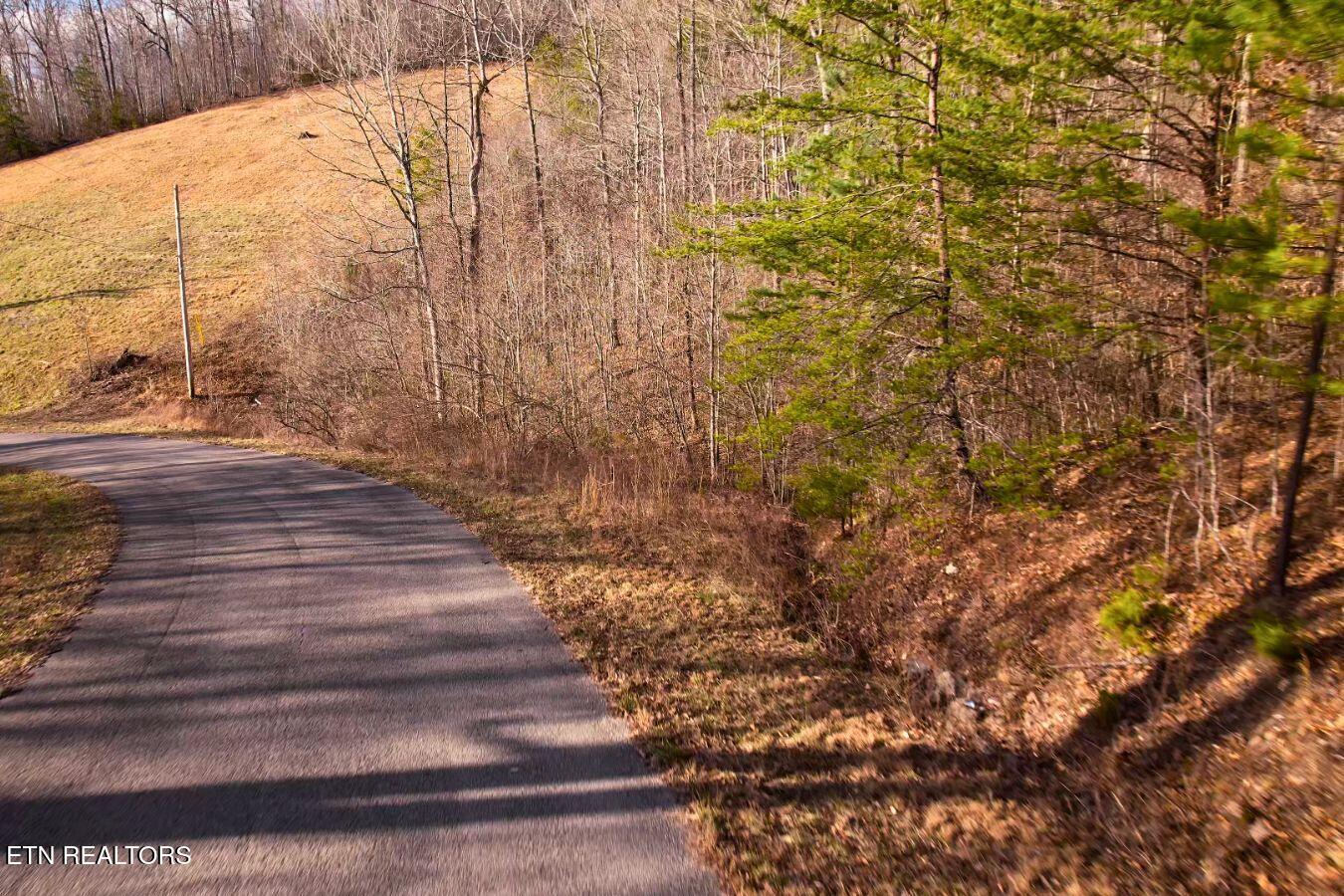 Lot 147 Saddle Ridge Drive, Speedwell, TN - Norris Lake Real Estate - Image# 8