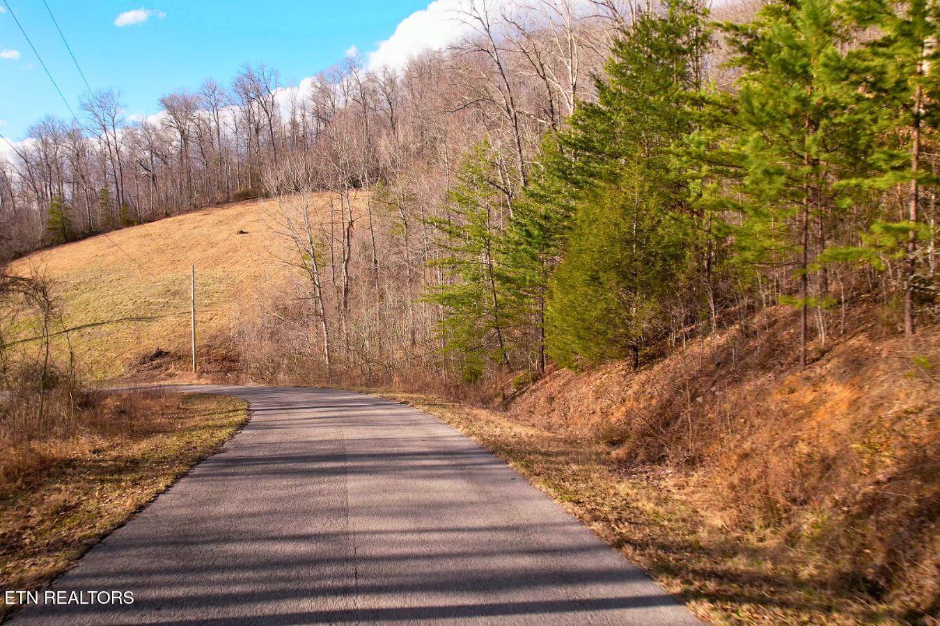 Lot 147 Saddle Ridge Drive, Speedwell, TN - Norris Lake Real Estate - Image# 9