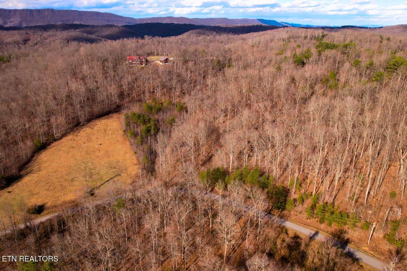 Lot 147 Saddle Ridge Drive, Speedwell, TN - Norris Lake Real Estate - Image# 11