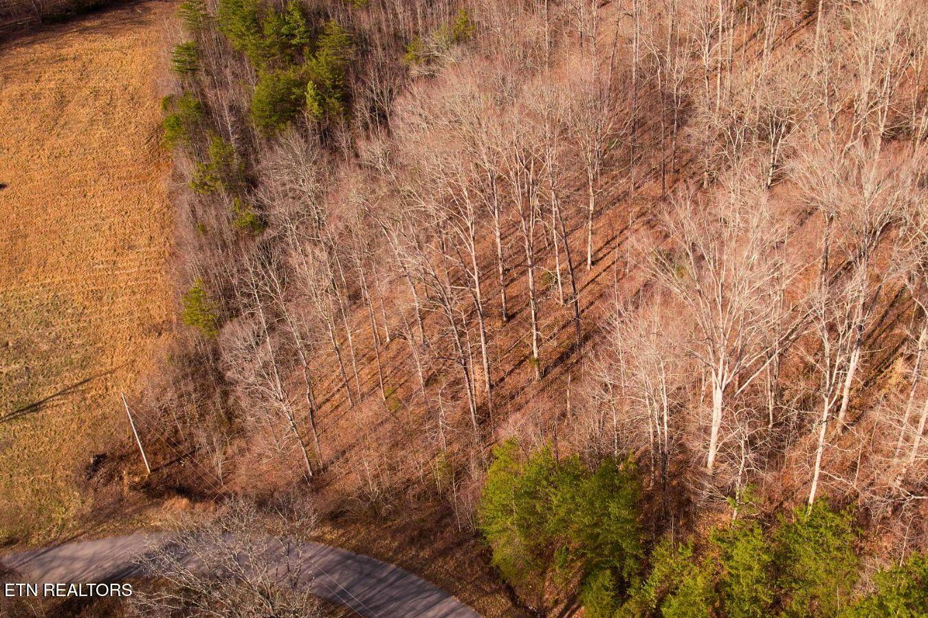 Lot 147 Saddle Ridge Drive, Speedwell, TN - Norris Lake Real Estate - Image# 13
