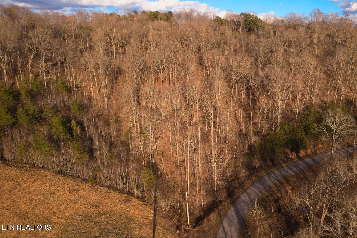 Lot 147 Saddle Ridge Drive, Speedwell, TN - Norris Lake Real Estate - Image# 18