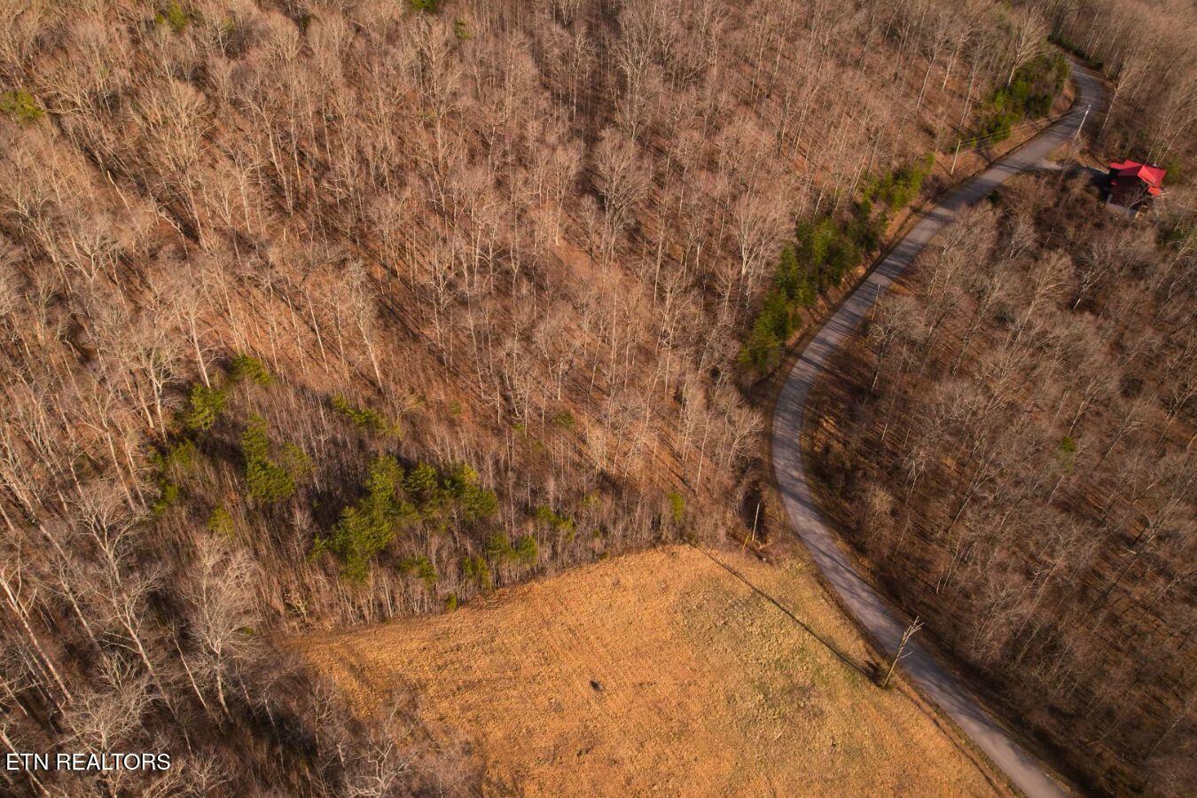 Lot 147 Saddle Ridge Drive, Speedwell, TN - Norris Lake Real Estate - Image# 20