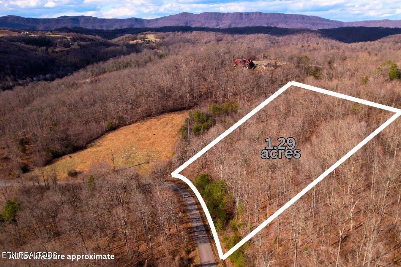 Lot 147 Saddle Ridge Drive, Speedwell, TN - Norris Lake Real Estate - Image# 6