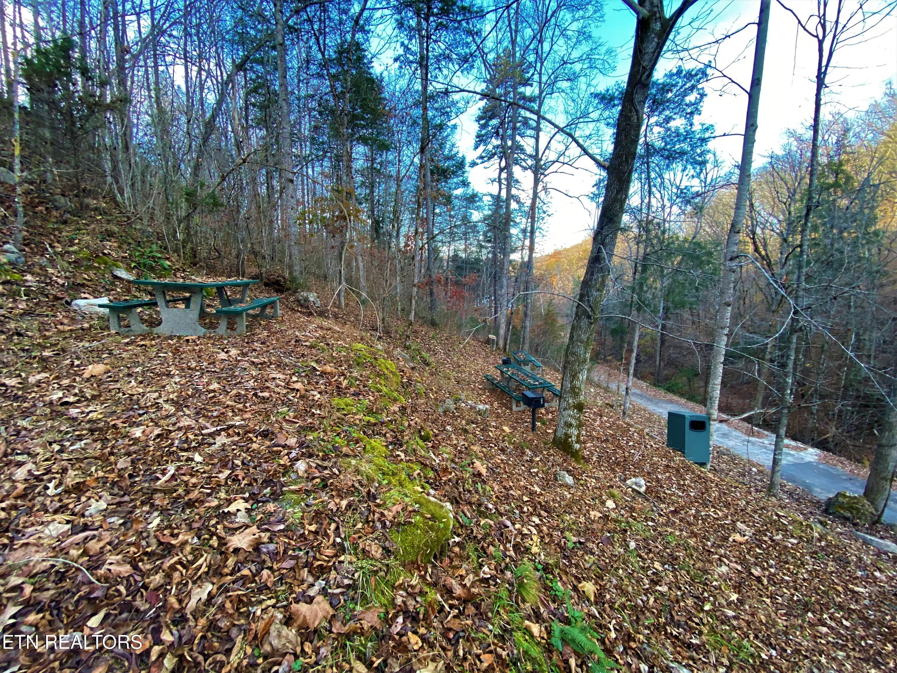 Lot 147 Saddle Ridge Drive, Speedwell, TN - Norris Lake Real Estate - Image# 25
