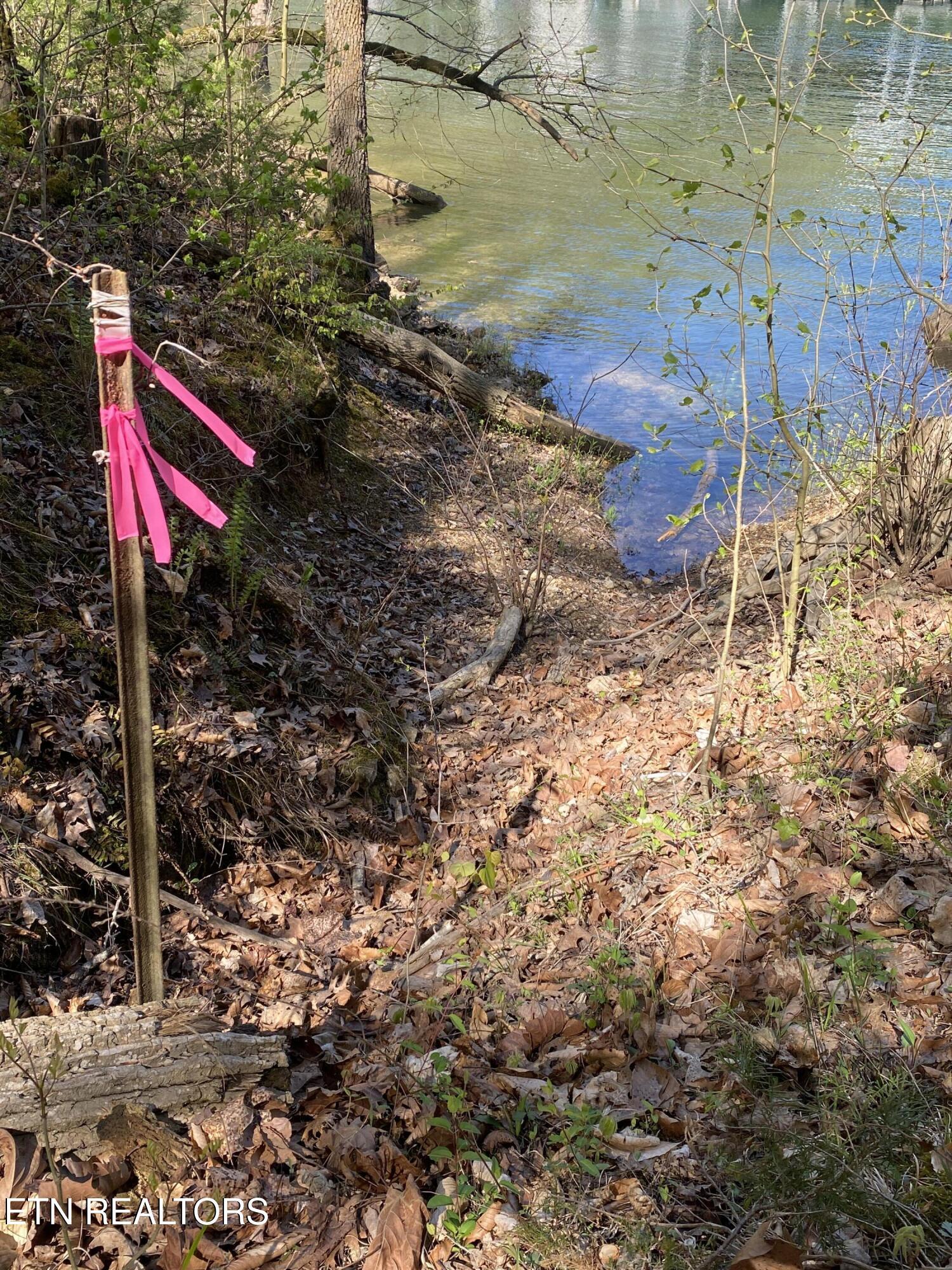 Norris Lake Real Estate - Image# 9