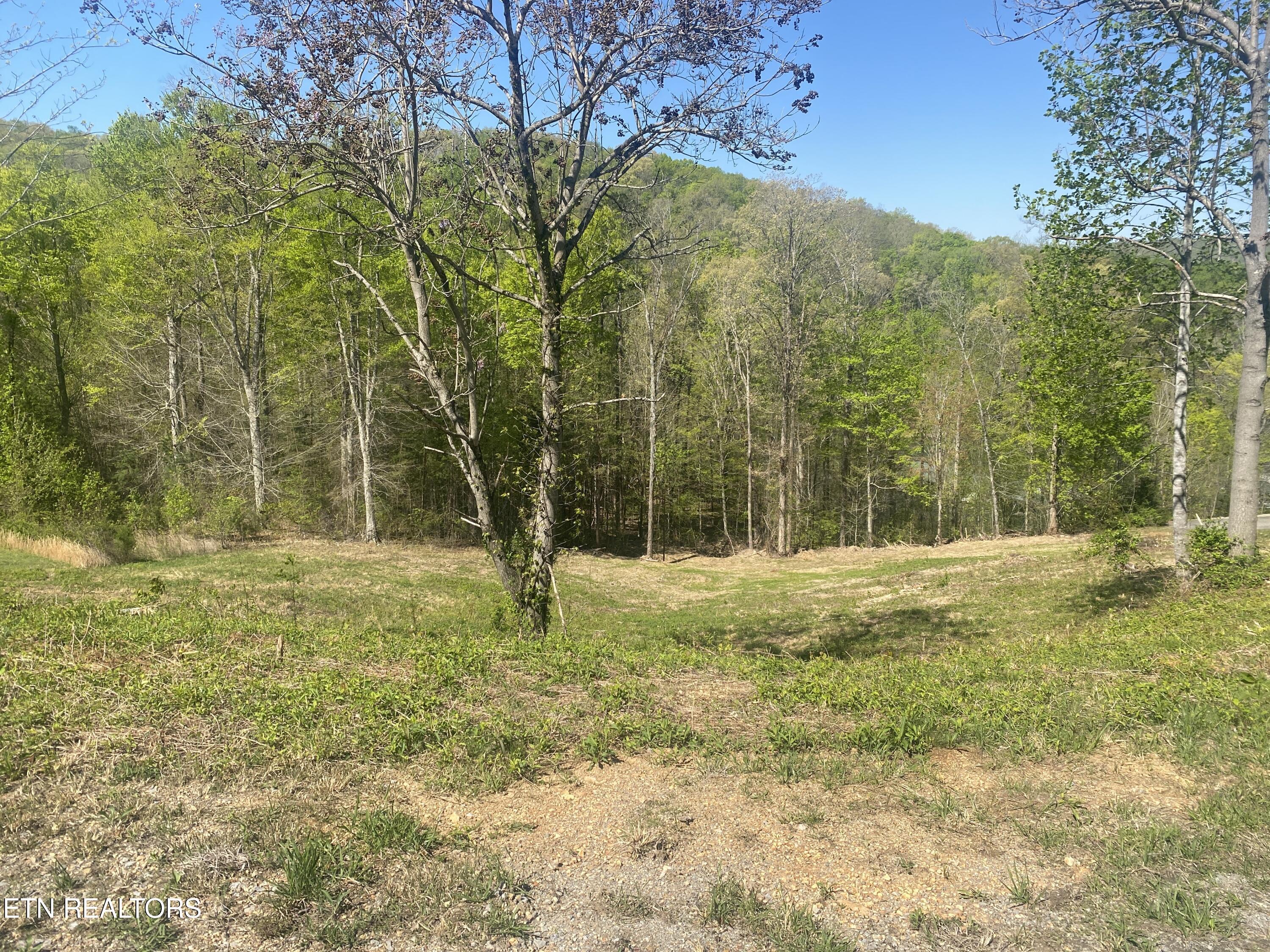 Norris Lake Real Estate - Image# 4