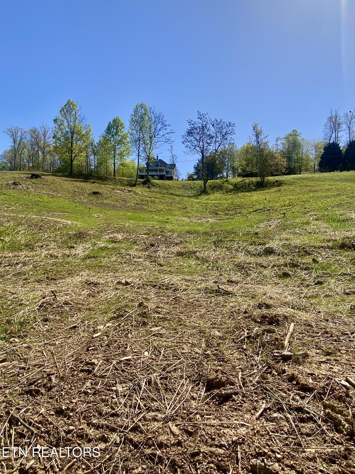 Norris Lake Real Estate - Image# 5