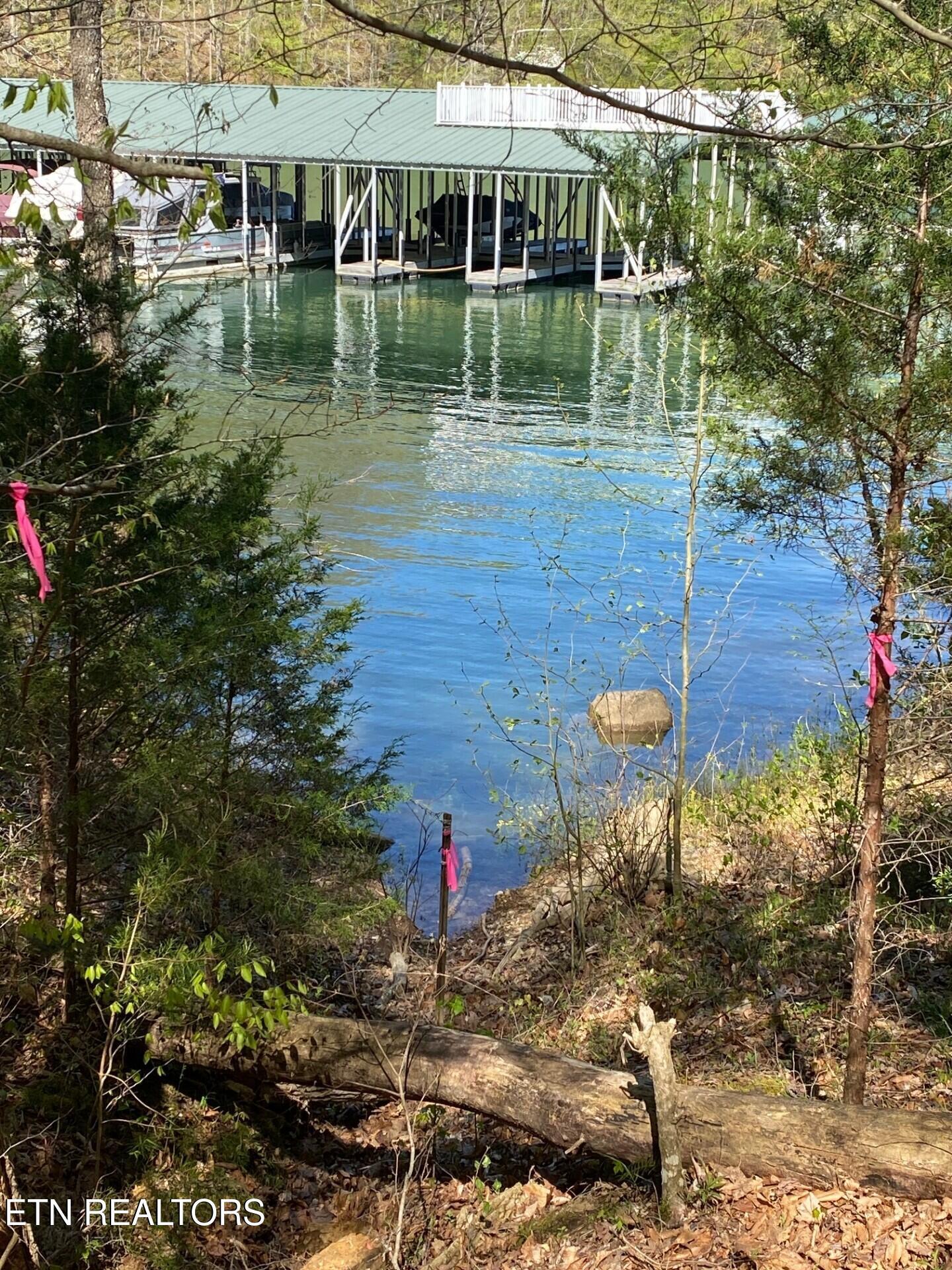 Norris Lake Real Estate - Image# 7