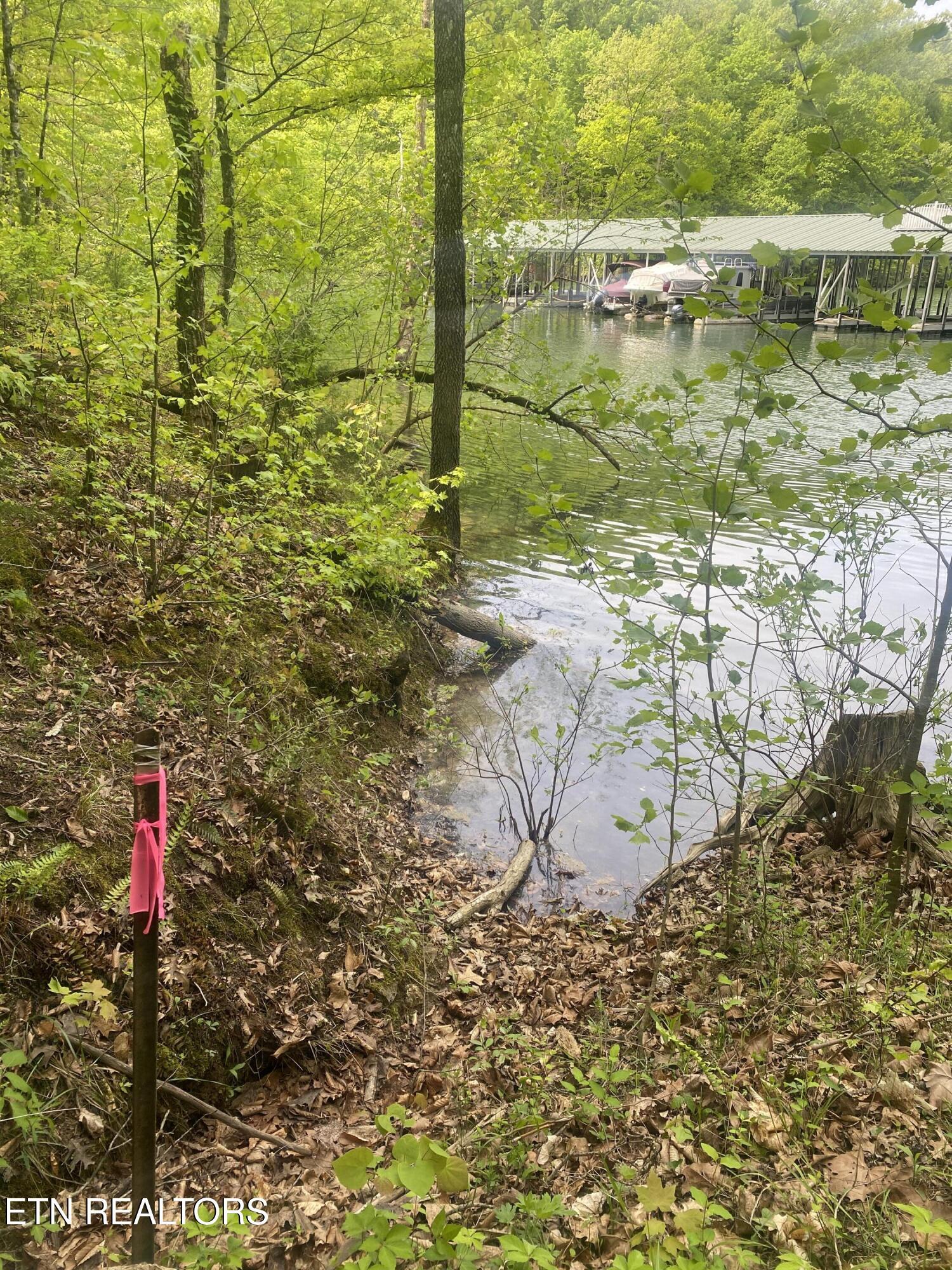 Norris Lake Real Estate - Image# 8
