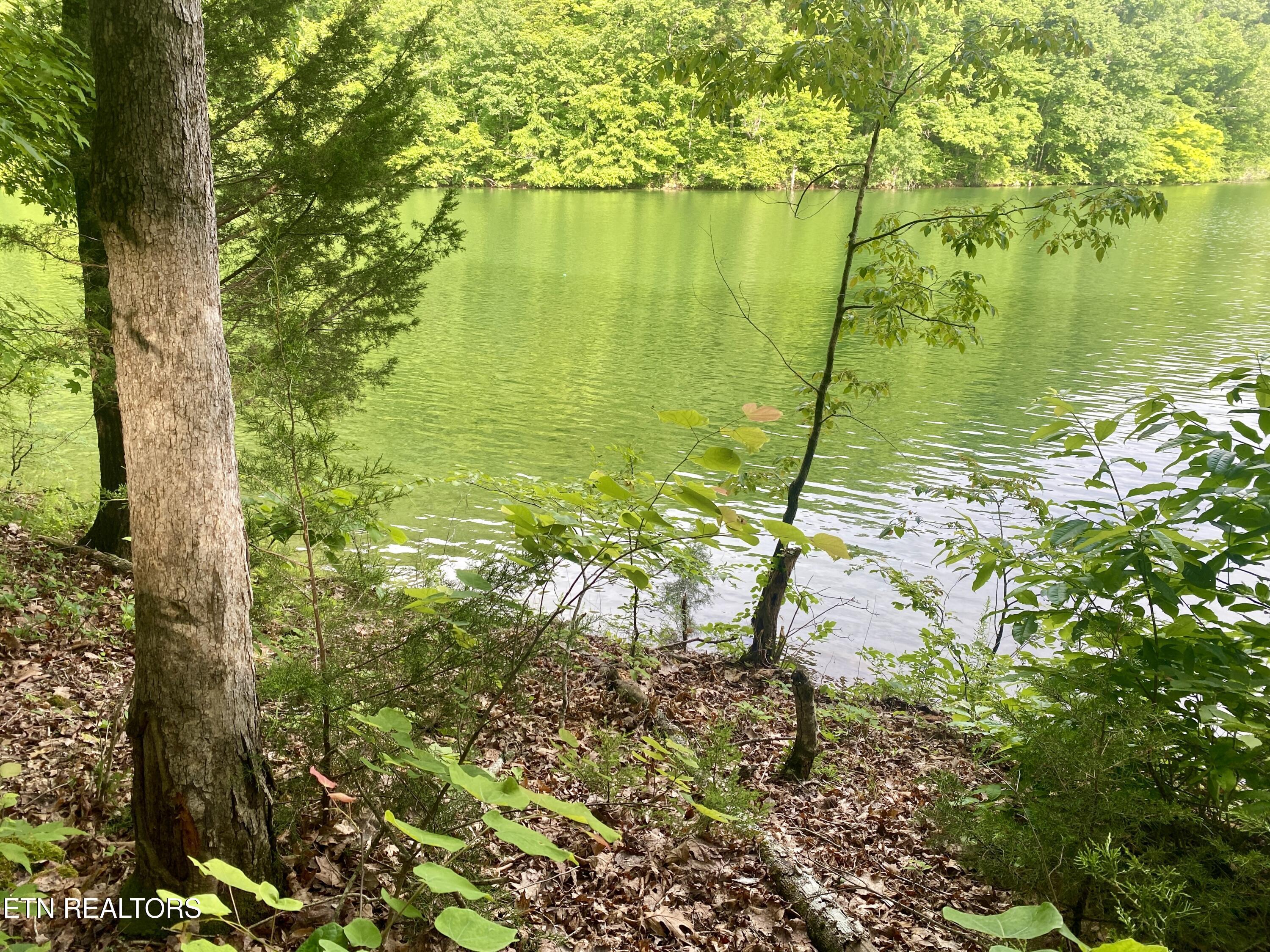 Lot #130 Hickory Pointe Lane, Maynardville, TN - Norris Lake Real Estate - Image# 8