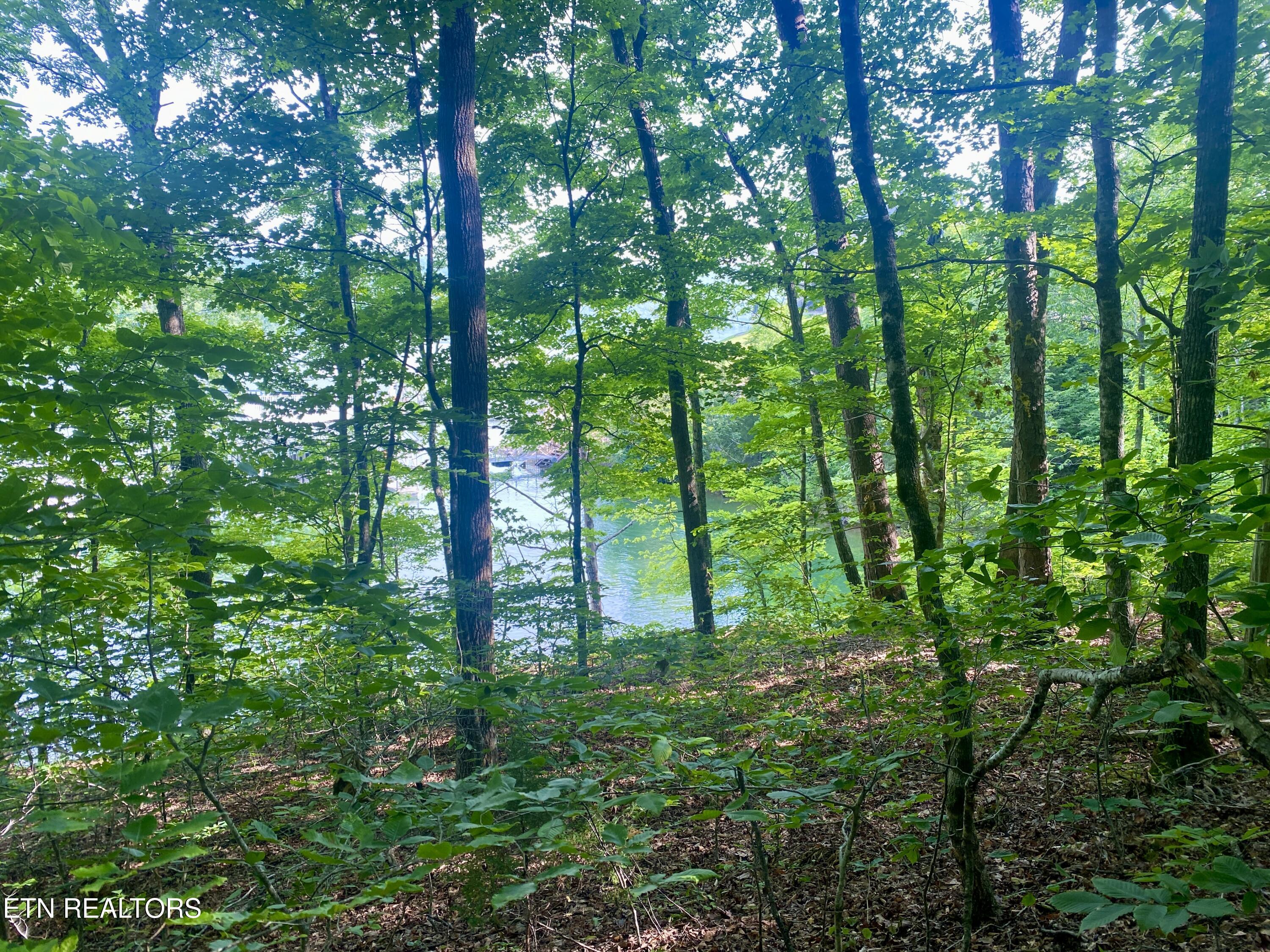 Lot #130 Hickory Pointe Lane, Maynardville, TN - Norris Lake Real Estate - Image# 6