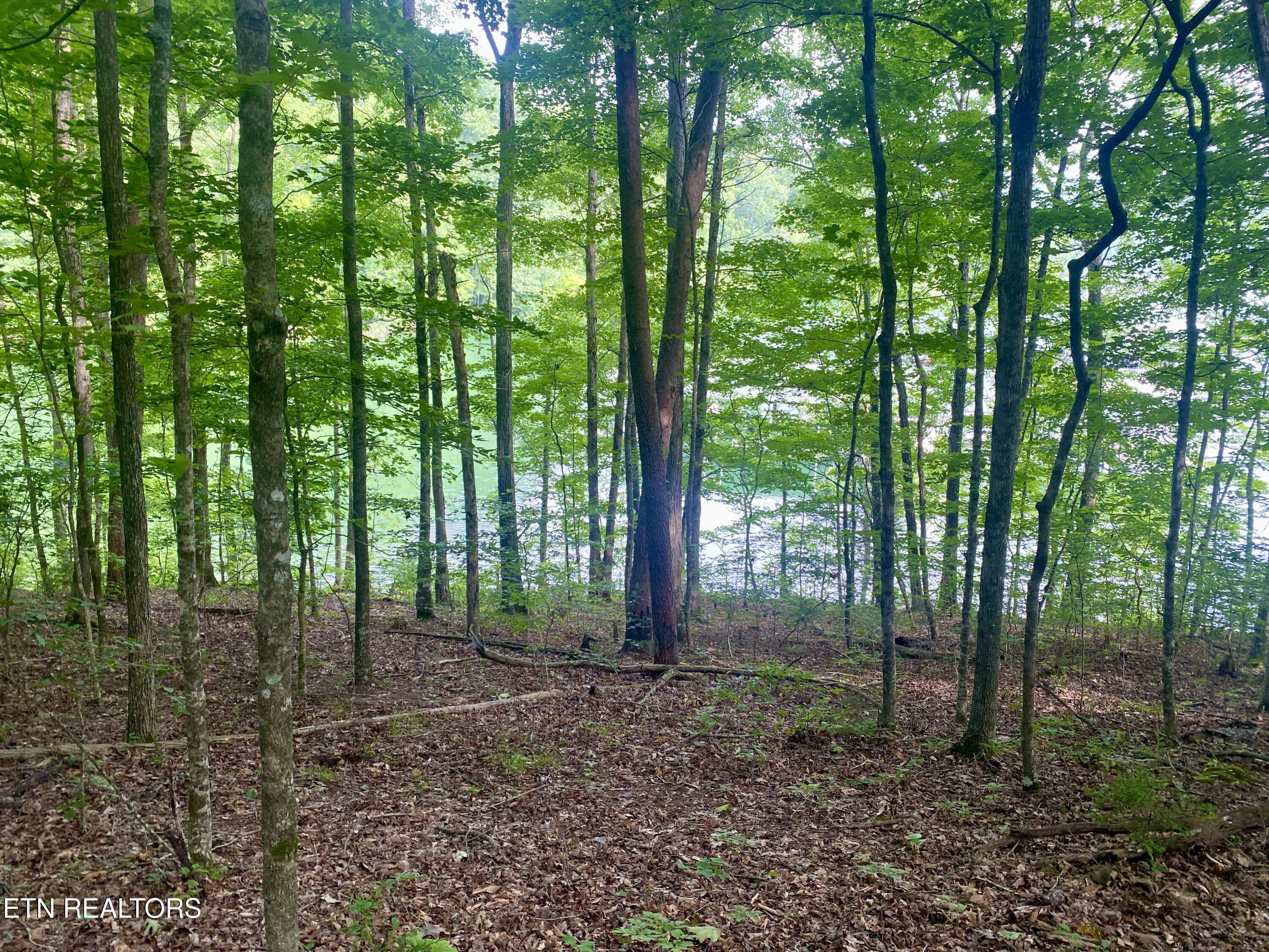 Lot #130 Hickory Pointe Lane, Maynardville, TN - Norris Lake Real Estate - Image# 2