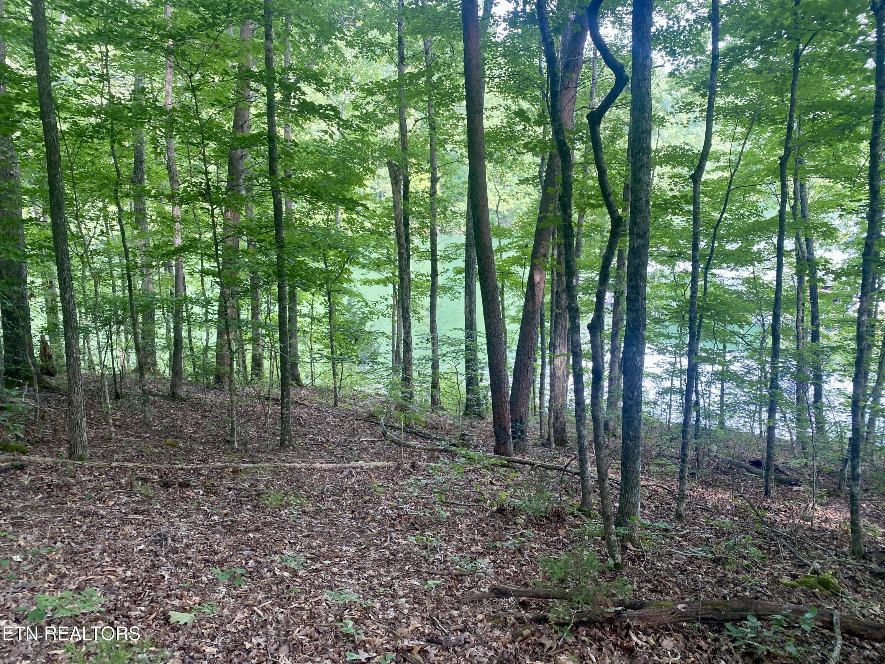 Lot #130 Hickory Pointe Lane, Maynardville, TN - Norris Lake Real Estate - Image# 4