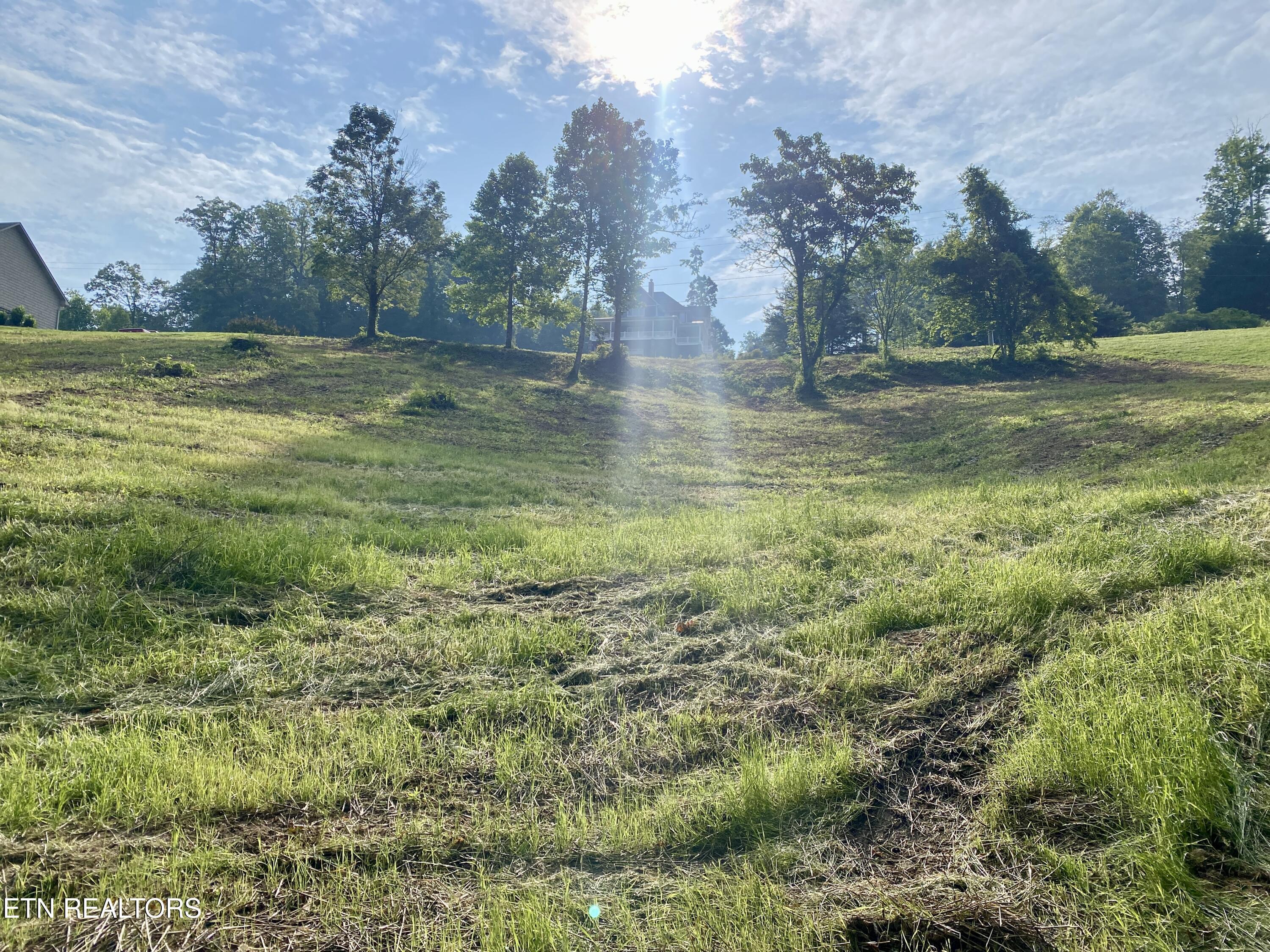 Lot #130 Hickory Pointe Lane, Maynardville, TN - Norris Lake Real Estate - Image# 15