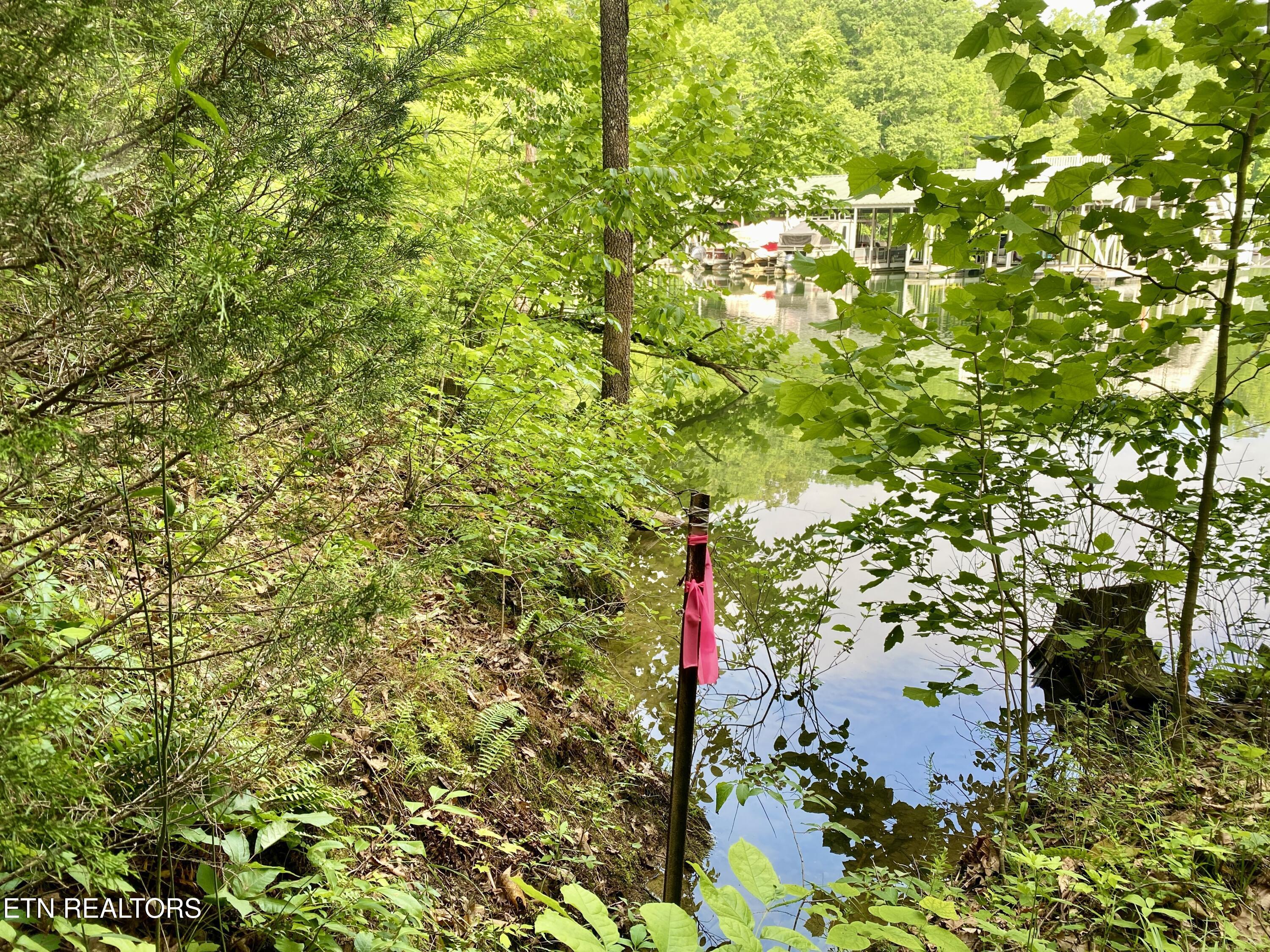 Lot #130 Hickory Pointe Lane, Maynardville, TN - Norris Lake Real Estate - Image# 23