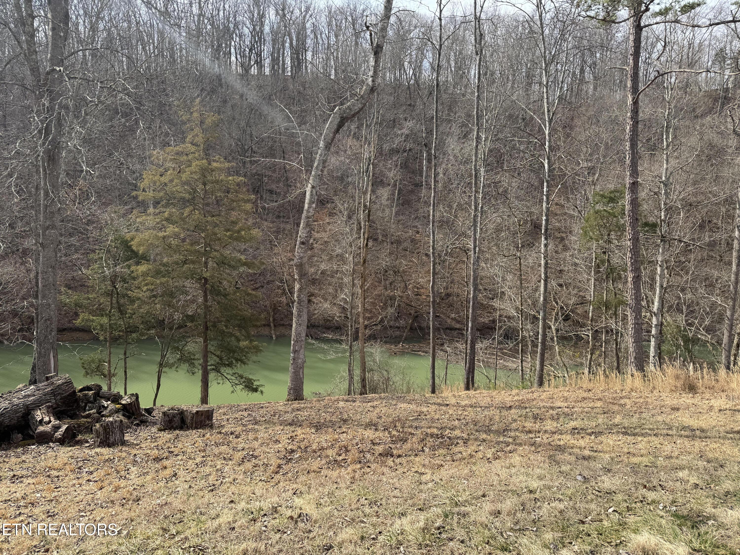 348 Wagon Lane, Speedwell, TN - Norris Lake Real Estate - Image# 4