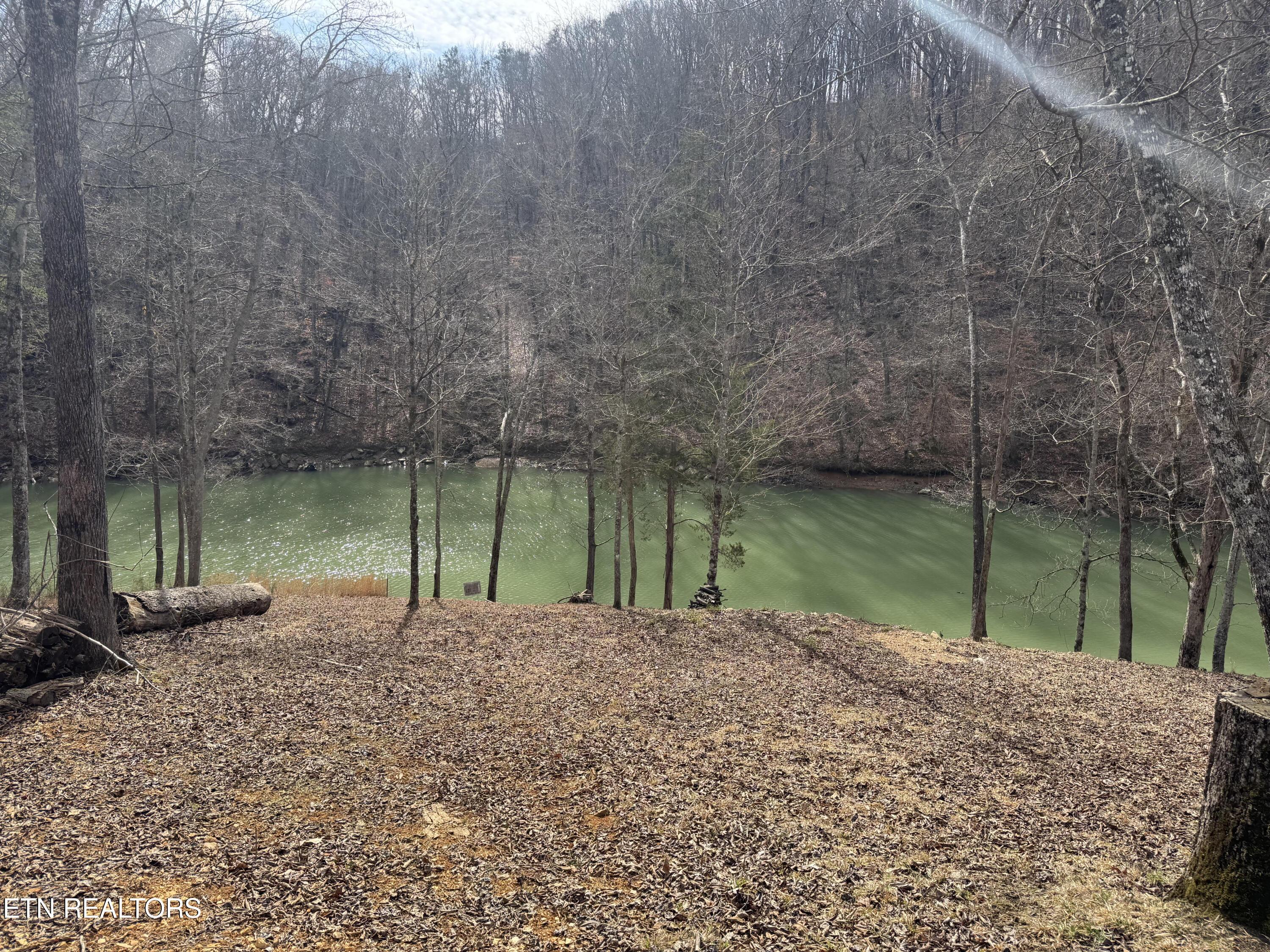 348 Wagon Lane, Speedwell, TN - Norris Lake Real Estate - Image# 2