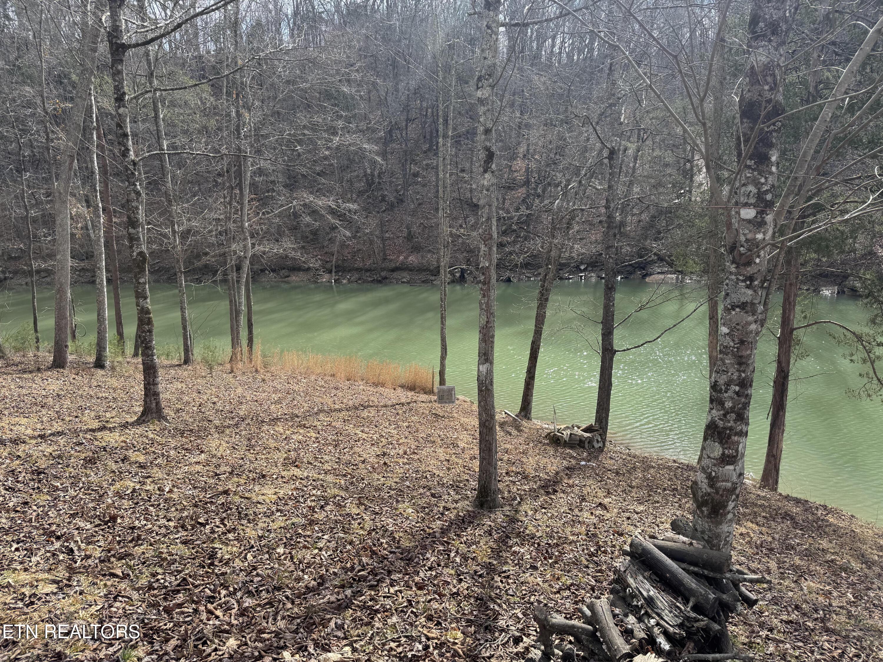 348 Wagon Lane, Speedwell, TN - Norris Lake Real Estate - Image# 7