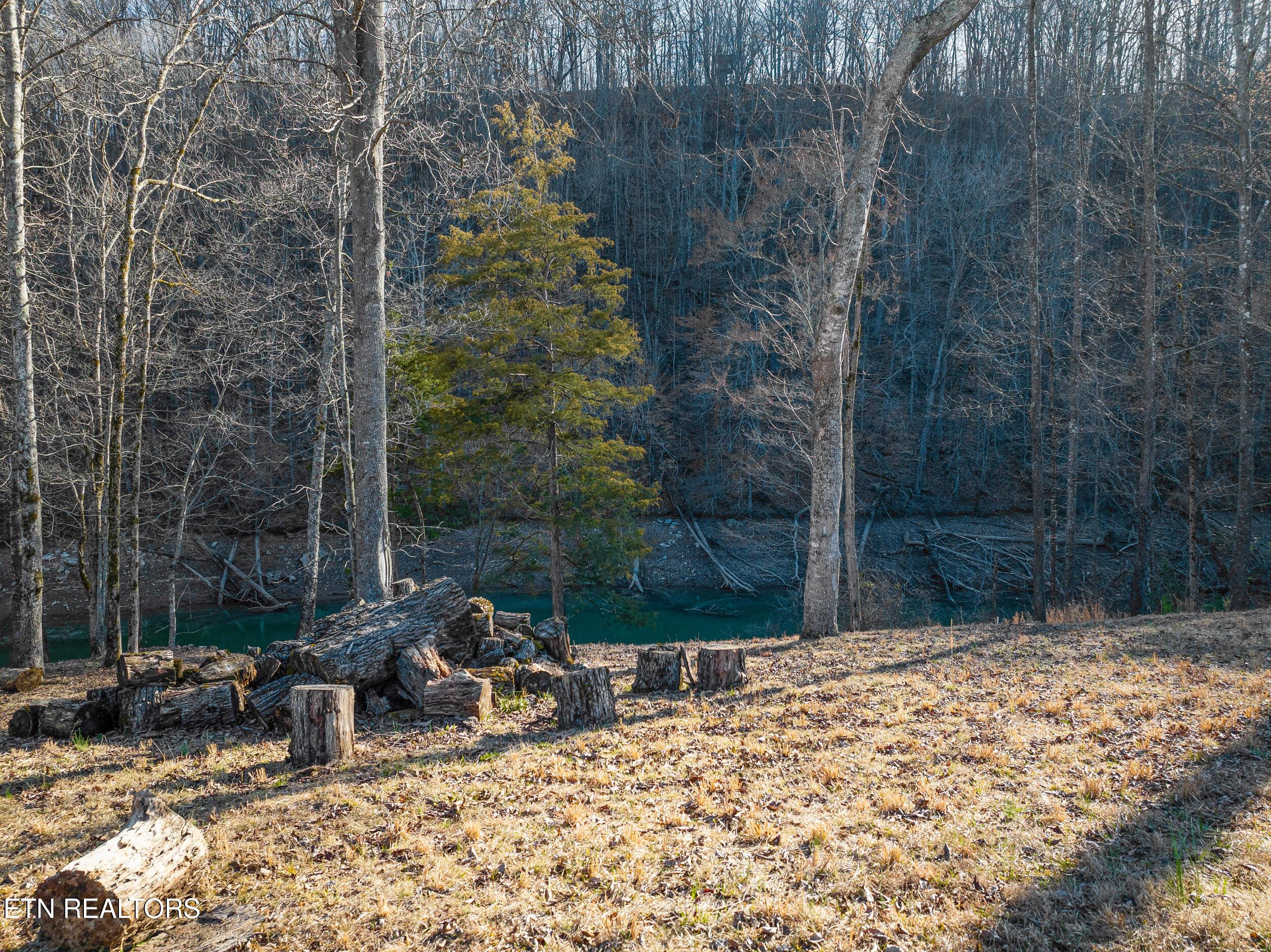 348 Wagon Lane, Speedwell, TN - Norris Lake Real Estate - Image# 11