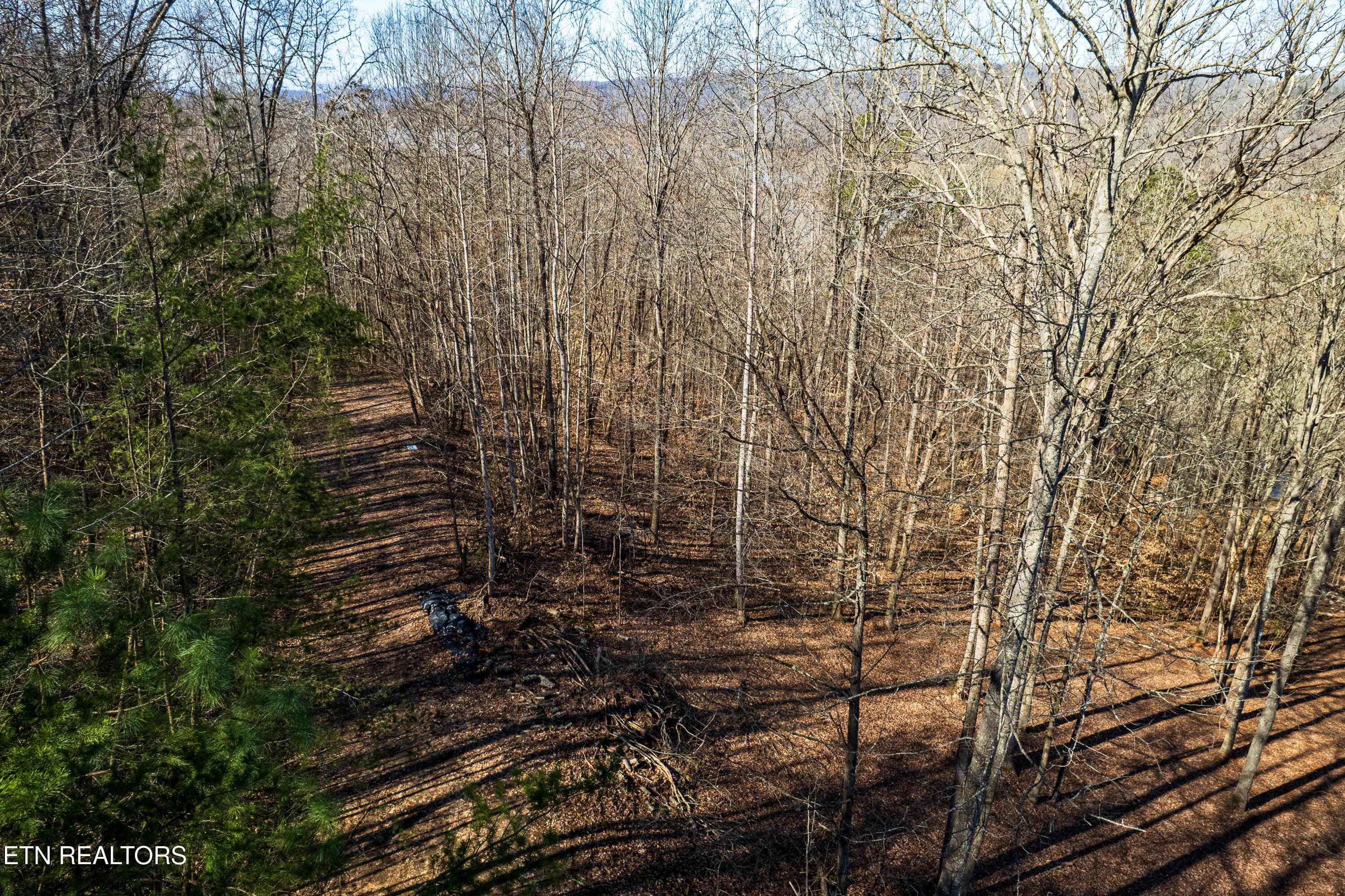 S Cove Rd, Maynardville, TN - Norris Lake Real Estate - Image# 7