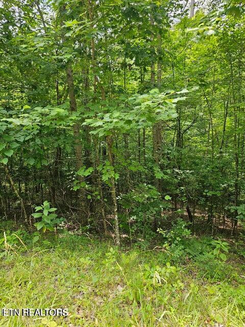Windsor Lane, Jacksboro, TN - Norris Lake Real Estate - Image# 17