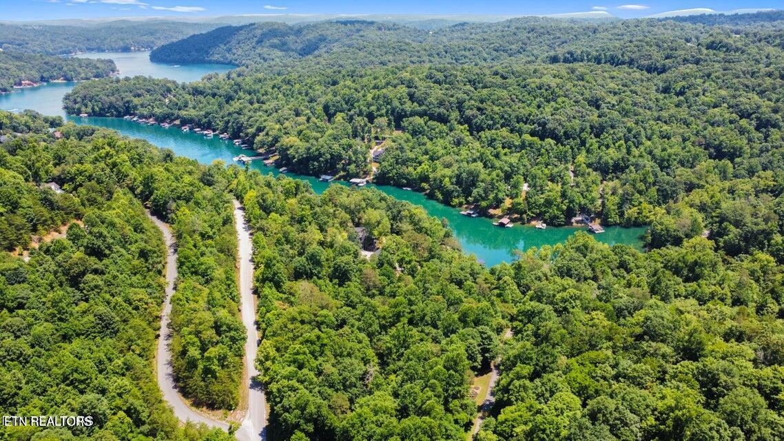 Windsor Lane, Jacksboro, TN - Norris Lake Real Estate - Image# 5
