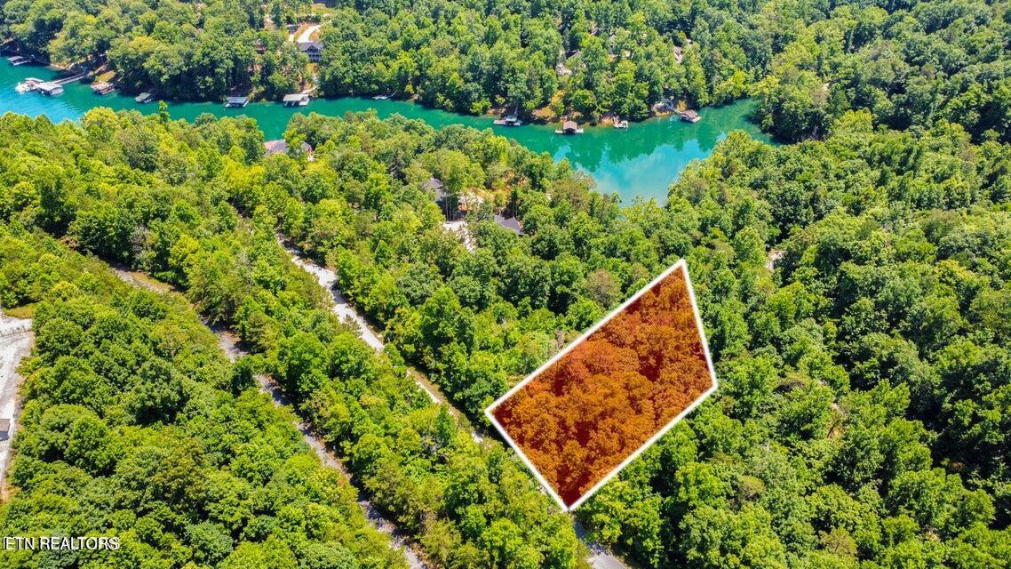 Windsor Lane, Jacksboro, TN - Norris Lake Real Estate - Image# 4