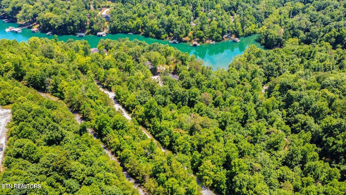 Windsor Lane, Jacksboro, TN - Norris Lake Real Estate - Image# 6