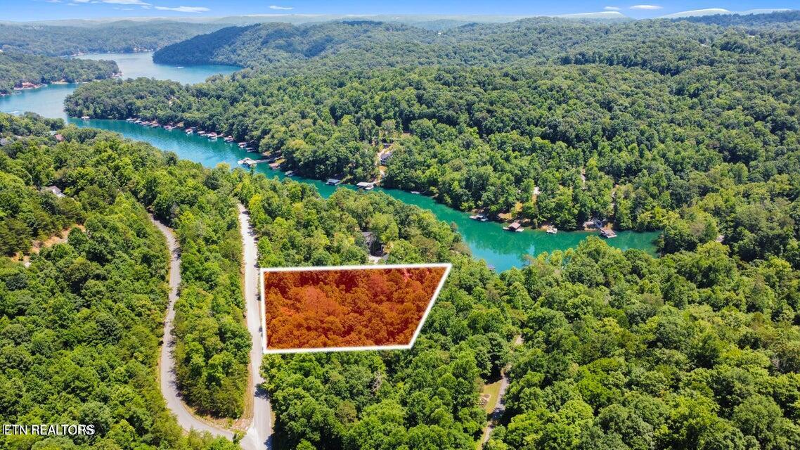 Windsor Lane, Jacksboro, TN - Norris Lake Real Estate - Image# 3