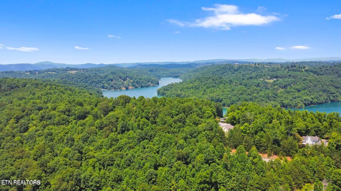 Windsor Lane, Jacksboro, TN - Norris Lake Real Estate - Image# 7