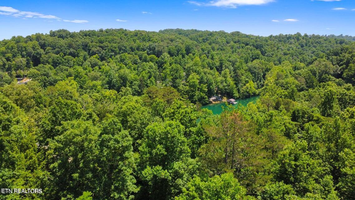 Windsor Lane, Jacksboro, TN - Norris Lake Real Estate - Image# 8