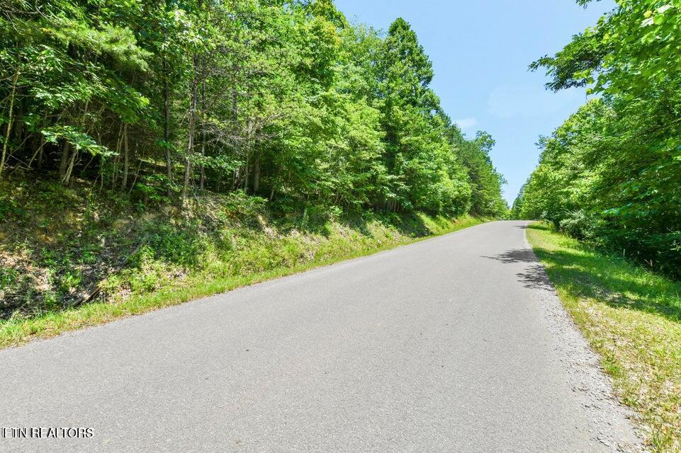 Windsor Lane, Jacksboro, TN - Norris Lake Real Estate - Image# 9