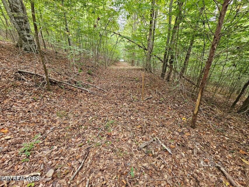 Windsor Lane, Jacksboro, TN - Norris Lake Real Estate - Image# 15
