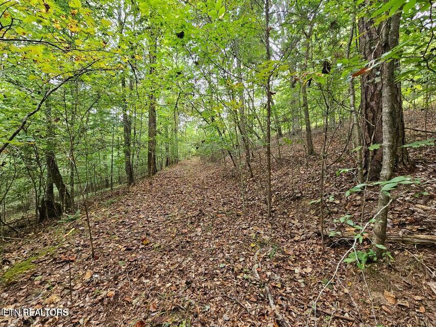 Windsor Lane, Jacksboro, TN - Norris Lake Real Estate - Image# 16